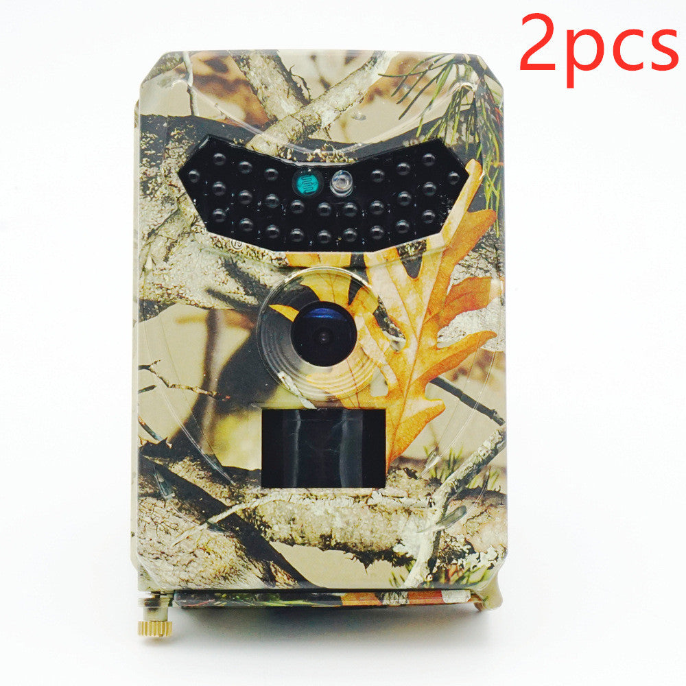 ForestGuard™ Forestry Security Camera – Rugged Surveillance for the Outdoors
