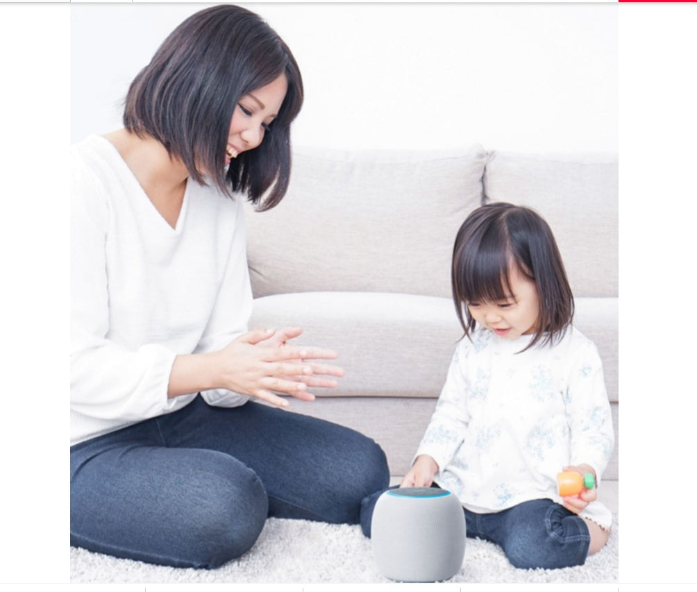 SmartEcho AI Mini Wireless Speaker