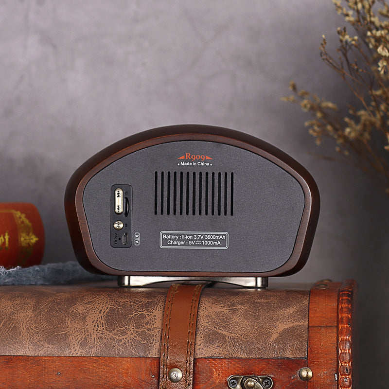 RadioWave Go – Portable FM/AM Speaker