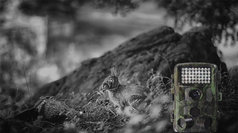 The WildSight Pro Hunting Camera – Capture the Wild in Action