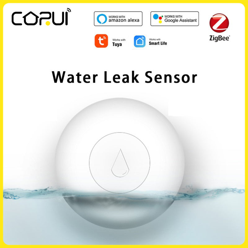 AquaSentinel Pro: The Intelligent WaterGuard Sensor