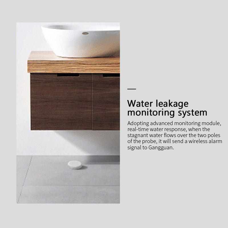 AquaSentinel Pro: The Intelligent WaterGuard Sensor