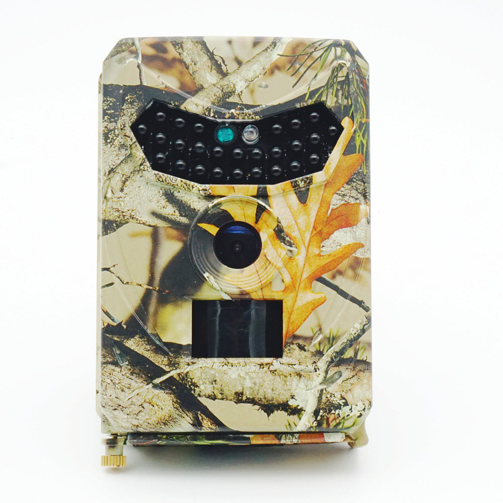 ForestGuard™ Forestry Security Camera – Rugged Surveillance for the Outdoors