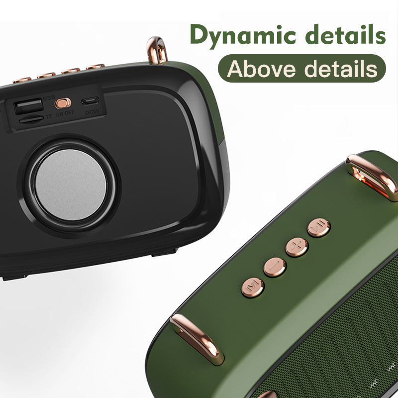 BassBlaze Mini Outdoor Speaker