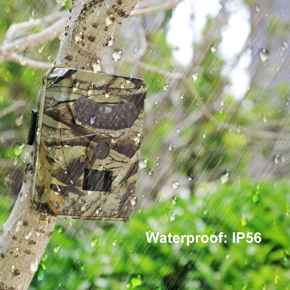 WildSight 1080 – 1080P Trail Camera for Hunting & Wildlife Scouting with PIR Sensor & Infrared Night Vision