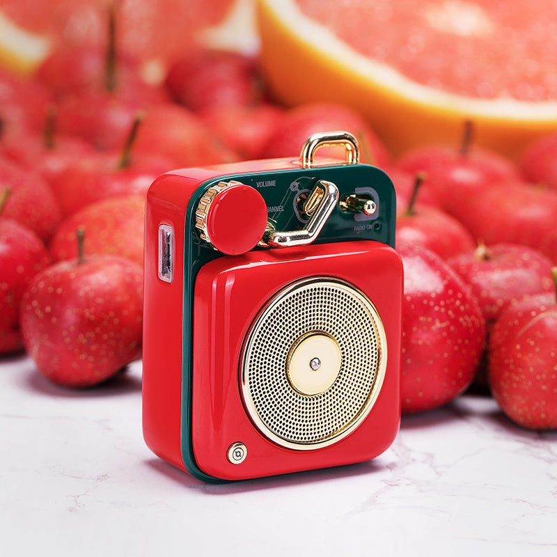 EchoDrive Retro Mini Speaker