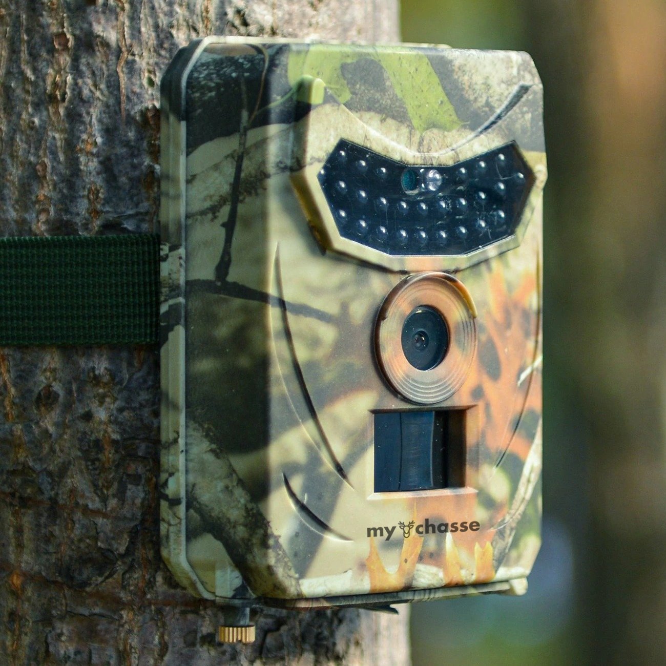 ForestGuard™ Forestry Security Camera – Rugged Surveillance for the Outdoors