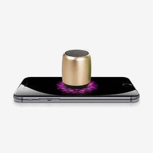 SoundTrail Mini Outdoor Speaker