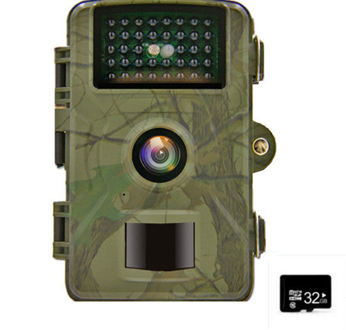 WildEye™ IP66 Waterproof Field Camera