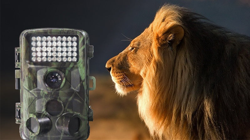 The WildSight Pro Hunting Camera – Capture the Wild in Action