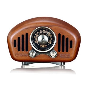 RadioWave Go – Portable FM/AM Speaker