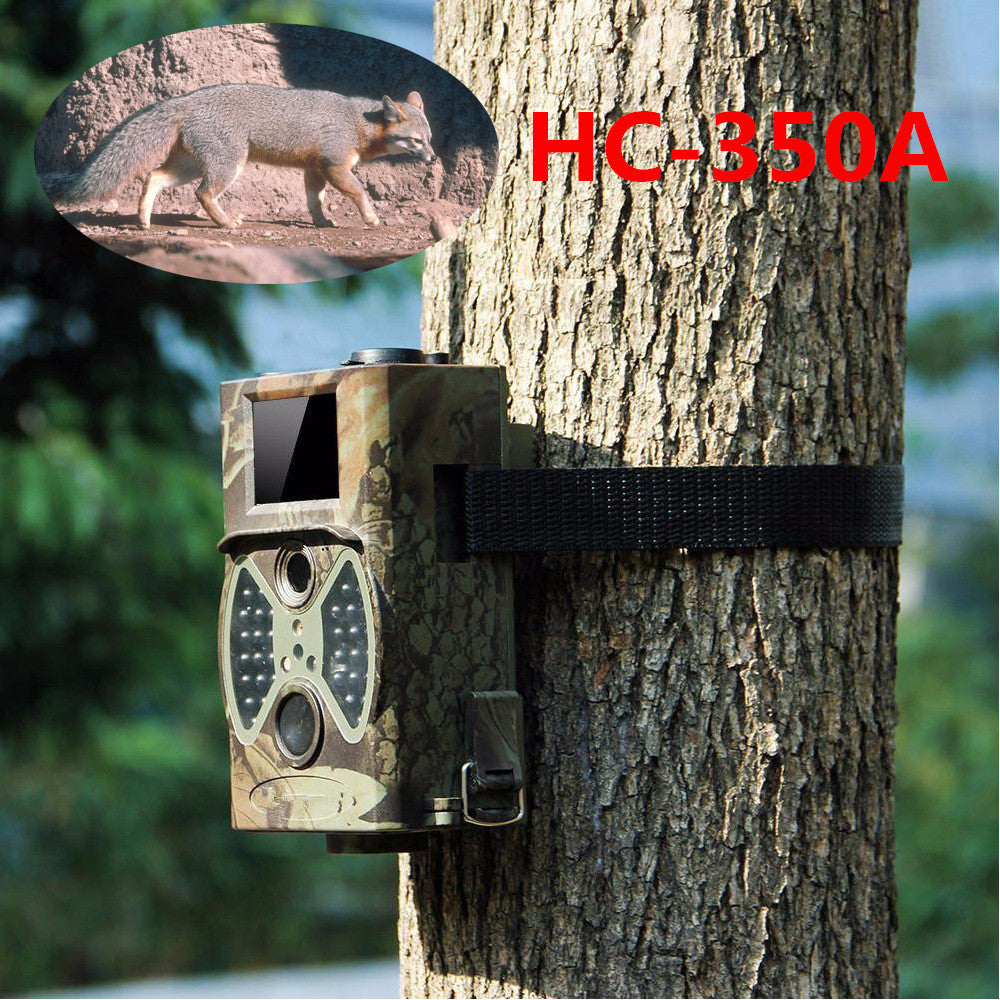 SecureView™ 360° Indoor & Outdoor Security Surveillance Cameras